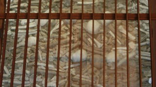 天井から壁まで、部屋全体が黄金で輝く教会