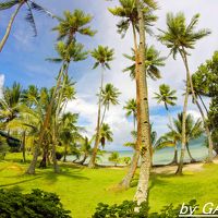 部屋からの眺め。