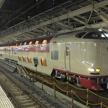 東京駅で出発をまつサンライズ瀬戸。横浜寄りが瀬戸号です。
