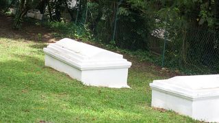 小道を歩いて行く