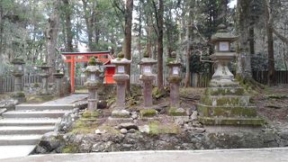 サイズは特に大きく