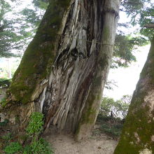 「三朝小唄」ロケ地