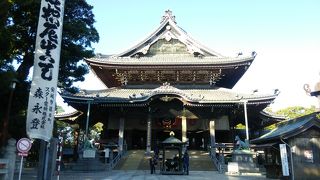 見所がたくさん