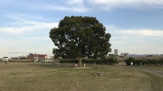 広々と楽しめる河川敷公園