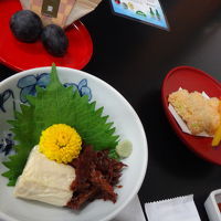 夕食湯葉かつで精進料理