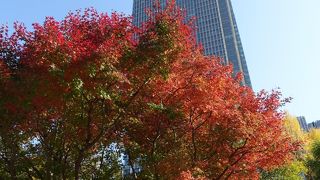 昼も夜も美しい！