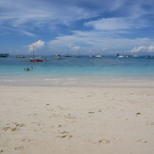 魚が泳いでるみれる