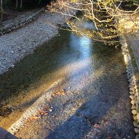 朝日に光る五十鈴川の水がとてもキレイでした