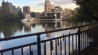 紅葉を楽しめました