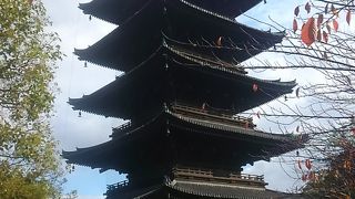 特別拝観東寺の五重塔