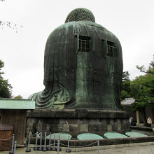 大仏様のお背中です