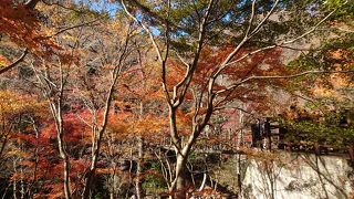 駐車場から往復1.6キロ歩く