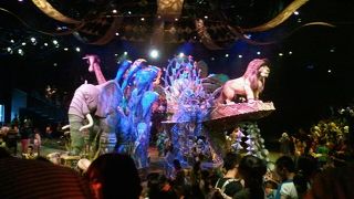 ダイナミックなショー