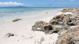 多くの人が星砂を探していた