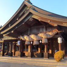 拝殿の大しめ縄