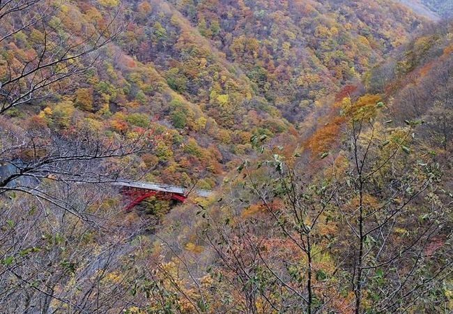 紅葉がきれい