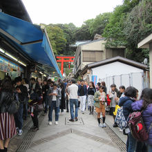 魚介やお菓子を食べている人の間をすりぬけて…