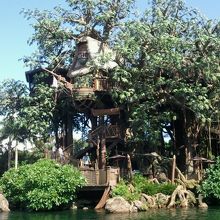 ターザンのツリーハウスも！眺めがよいですよ！