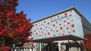 水玉の草間ワールドにどっぷり