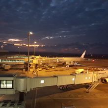 展望デッキからの眺め