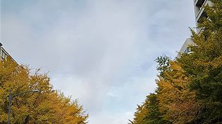 イベントなどで歩行者天国となる日がお勧めです。