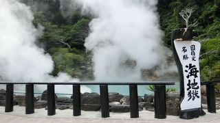 ブルーがキレイ