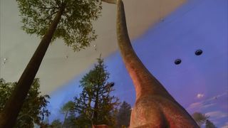 見応えありました。