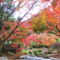 宝徳寺