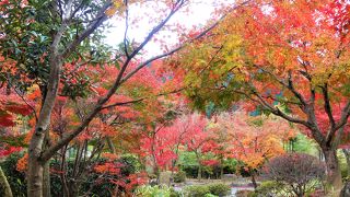 宝徳寺