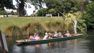 小さな小舟でエイボン川を行くクライストチャーチならではの舟遊び