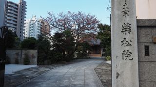 初代松本幸四郎の墓があります