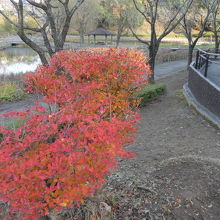 駐車場からすぐのとこ