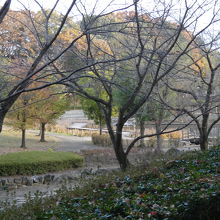 園内の右半分、駐車場から見て