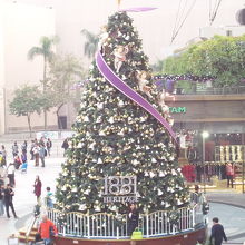 旧正月まではツリーが見られる