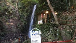 あまり大きくないけどパワーを感じます