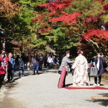 紅葉の進む中で婚礼写真の前撮りが数組いました。