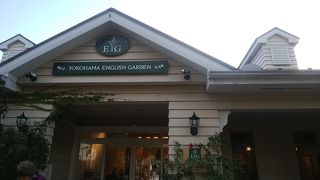 秋バラを楽しみました！