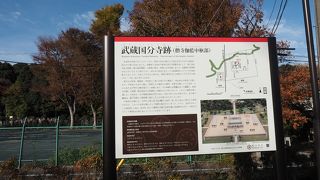 広々としています