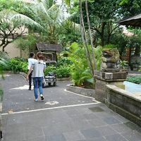 ホテルの敷地内は緑がいっぱいで、リゾート感が感じられます