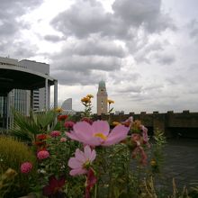 クイーンの塔も見られます