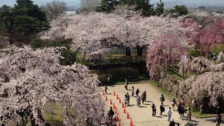 中は狭いですが、面白い資料あり