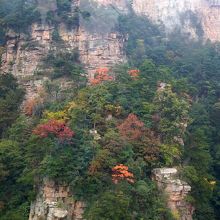 紅葉の時期に行くと超キレイ