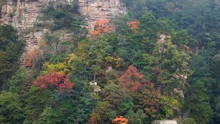 武陵源入場後のシャトルバスの列は「索道下站」に並びましょう