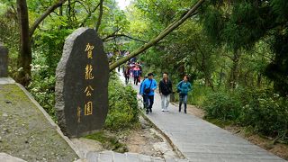 筆のような細長い奇峰が見たければ賀龍公園(天子山風景区）