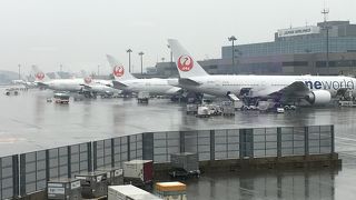JALのターミナル 成田空港