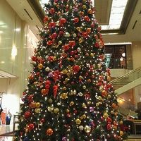 ロビーには大きなクリスマスツリーが飾られていました