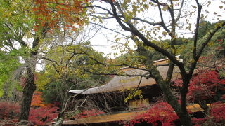 紅葉に包まれていました