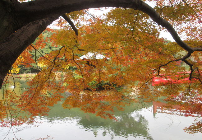 定光寺公園 クチコミ アクセス 営業時間 瀬戸 フォートラベル