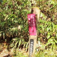 途中の分岐の案内