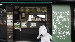 来ましたよ。スヌーピー茶屋